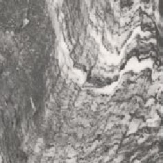 Azteca Domino Soft Black 24"x24"