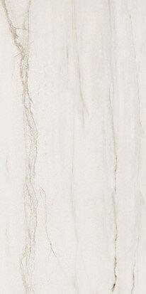 Fossile 12"x24" Matte